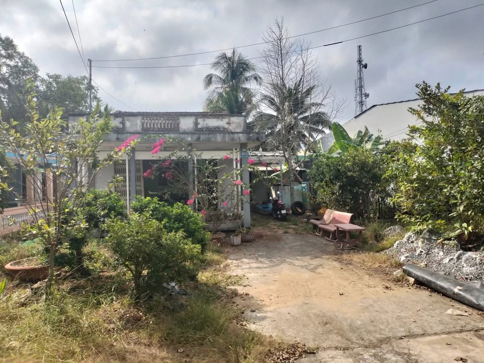 Nhà vườn cấp 4 cho thuê tại Sa Đéc 2.5 triệu - Không gian sống yên tĩnh!