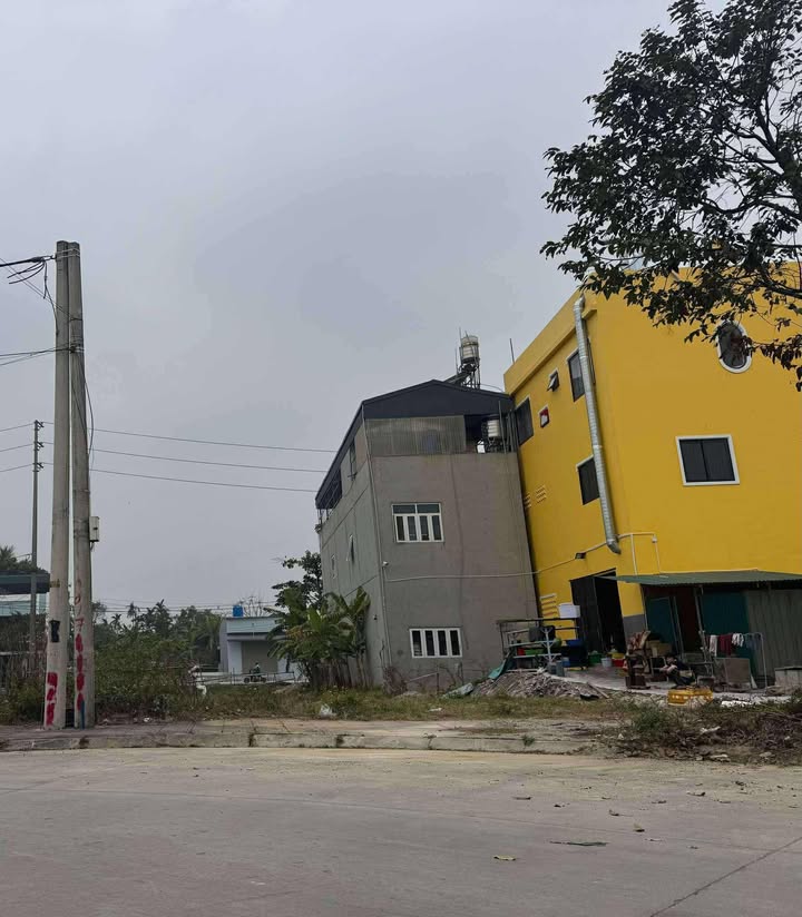 Đất nền Huyện Nga Sơn 100m² giá 1.3 tỷ - Hướng Đông mát mẻ tài lộc!