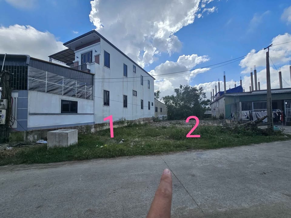 Đất thổ cư Thôn Tân Hòa, Tân Lâm Hương 175.2m² - Vị trí đẹp, sinh lời!