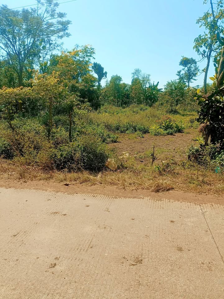 Đất nền khu vực QL26, xã Ea Kly, 100m² - Vị trí đắc địa cho kho chứa hàng!