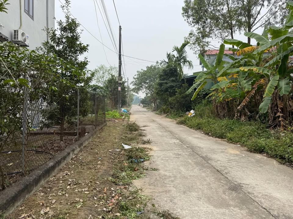 Đất nền Khu Phân Gài, 110m² giá 8xx triệu - Hạ tầng đẹp, chính chủ!