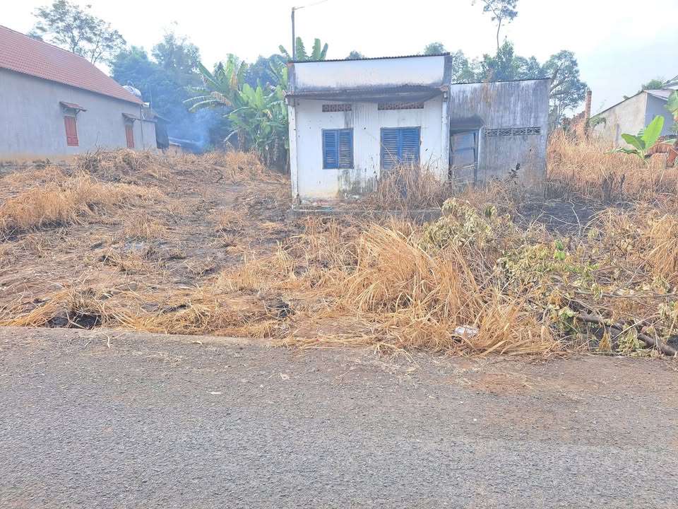 Cho thuê warehouse 1.680m² tại Xã Hưng Thịnh, Trảng Bom - Giá thuê chỉ 12 triệu/tháng!