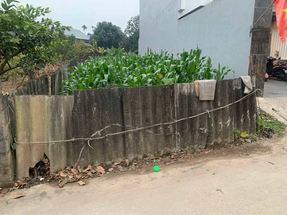 Đất nền Hóa Thượng 180m² giá 1.55 tỷ - Đầu tư sinh lời ngay!