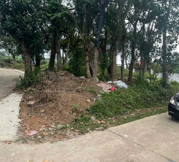 Đất 2 mặt tiền tại Xã Tân Thành, Huyện Phú Bình, 106m² - Cơ hội đầu tư hấp dẫn!