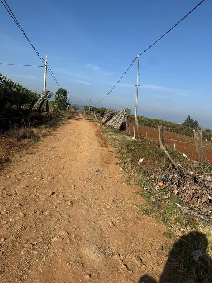 Đất nền 5,3 xào Tân Hội - Đan Phượng giá chỉ 3 tỷ - Cơ hội đầu tư tuyệt vời!