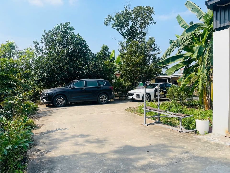 Đất nền 80m² Câu Thượng, Quang Hưng chỉ 600 triệu - Sổ đỏ chính chủ!