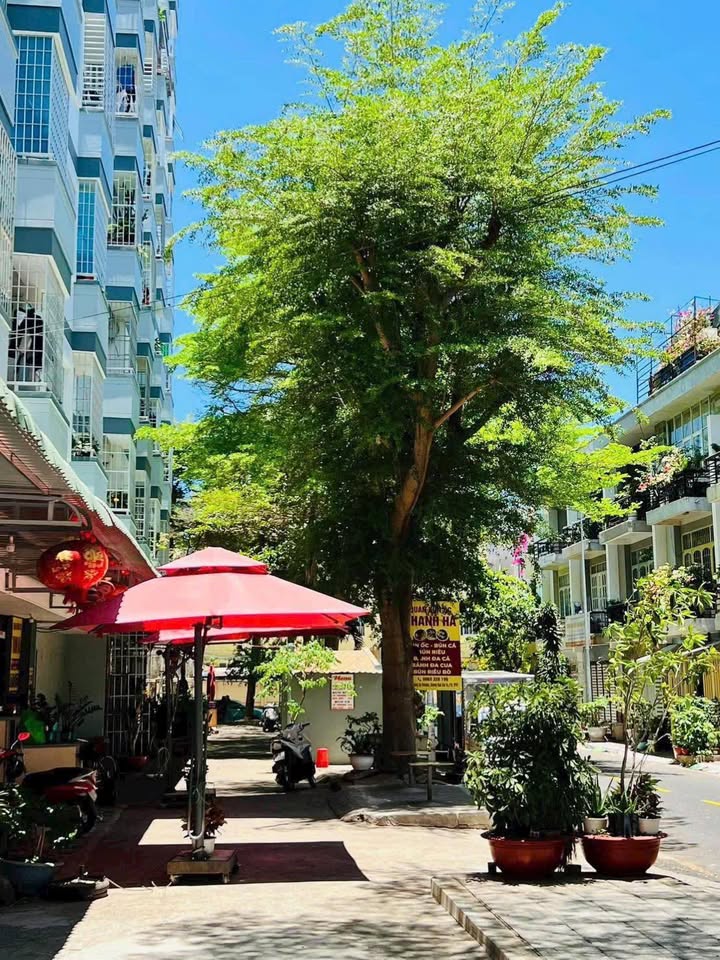 Căn hộ Viettub Phường 9 Vũng Tàu 81m² giá 3.55 tỷ - Full nội thất đẹp