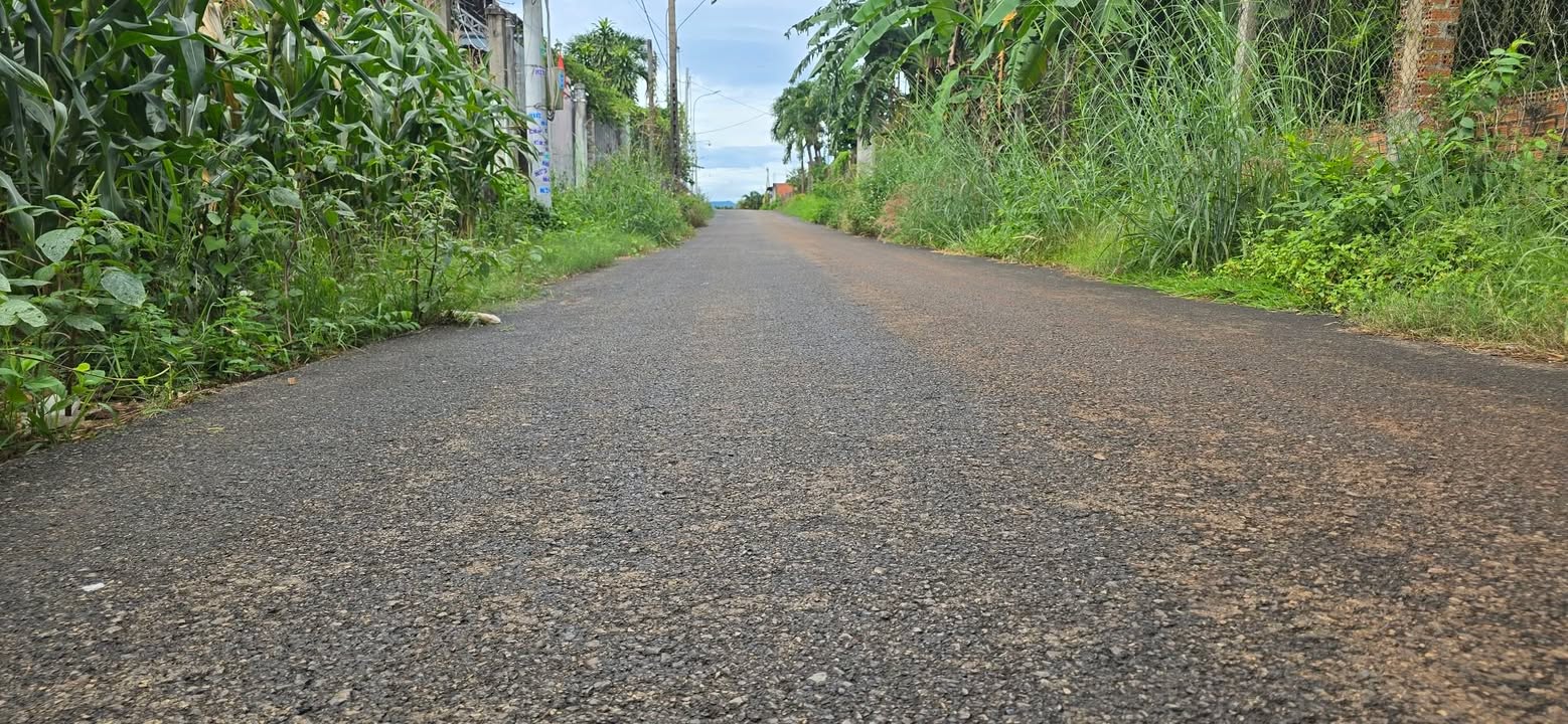 Đất nền 660m² xã Nghĩa Thành, TP.HCM - Đầu tư sinh lời tuyệt vời!