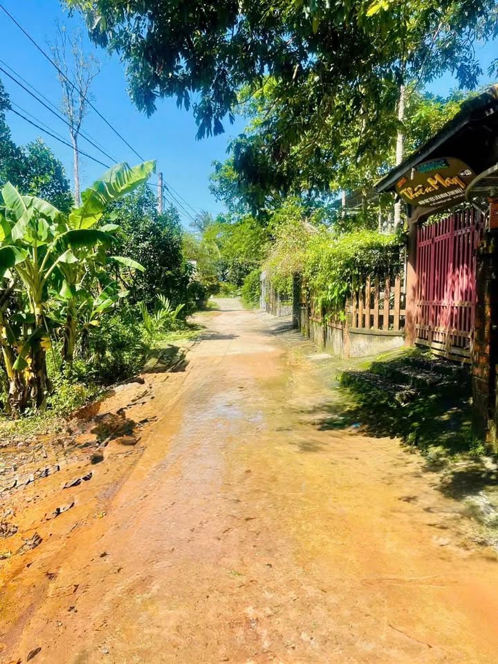 Đất nền Quảng Thành, Quảng Điền 115m² chỉ 11 triệu - Bán gấp do kẹt vốn!