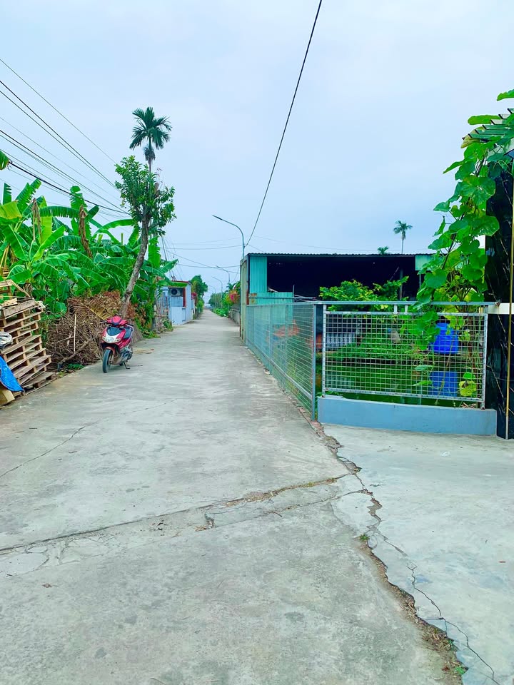 Lô đất CCN Chiến Thắng, An Dương 78m² - Đầu tư sinh lời hấp dẫn!