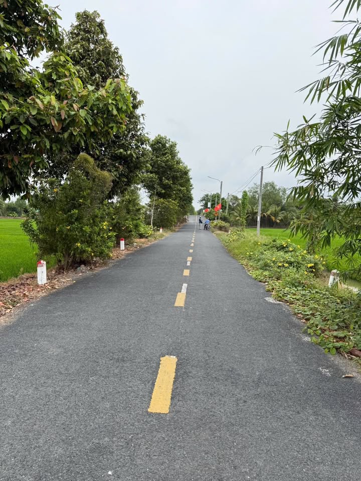 Đất mặt tiền xã Trường Thành, huyện Thới Lai, 979m² giá 1 tỷ - Đầu tư sinh lời ngay!