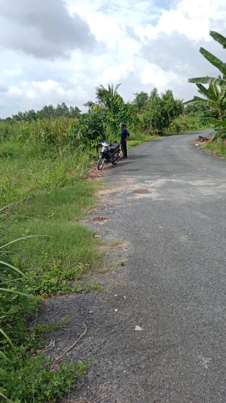 Đất nền 4 tổng, Lộ Vàm Bi, Cần Thơ 1645m² - Giá chỉ 2.795 tỷ