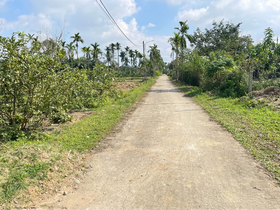 Đất thổ cư Lâm Lang 3, 210m² chỉ 235 triệu - Vị trí gần trường học