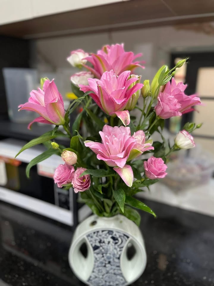 Nhà mặt tiền đường Khoá Bảo, Đông Hà 250m² - Cho thuê thỏa thuận!