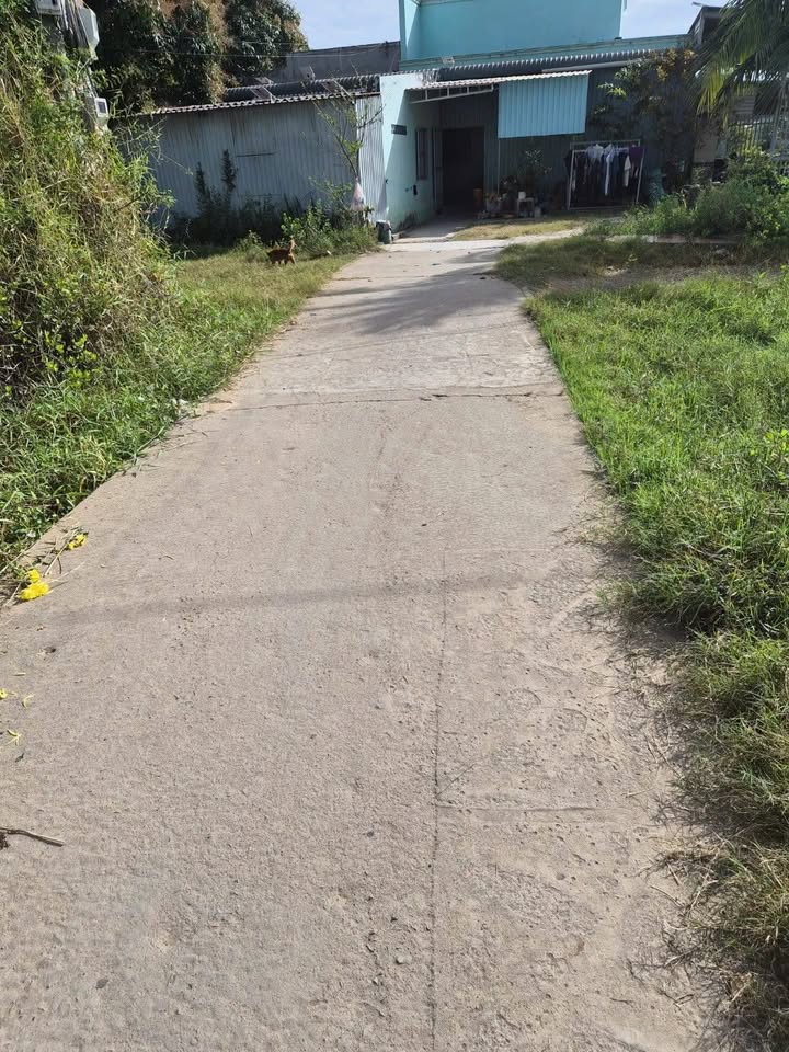 Đất thổ cư 100m² xã Hàm Thắng giá tốt, sổ hồng sẵn!