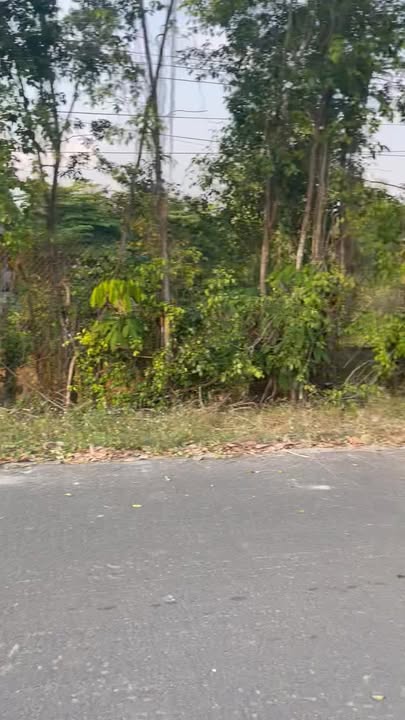 Đất nền 2500m² Nhựa Minh Thạnh - Giá chỉ 4xx triệu, Dân cư đông đúc!