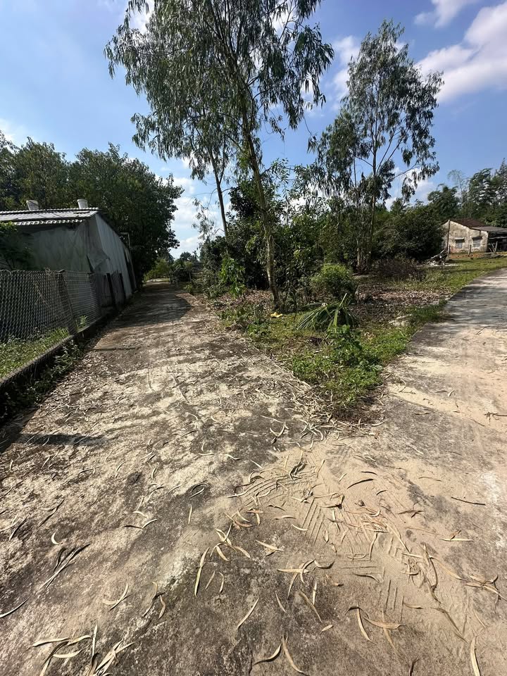 Đất nền KDC 270, Tam Phú 234m² giá 7xx triệu - Đường ô tô dễ dàng di chuyển!