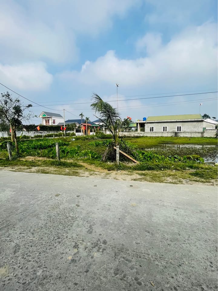 Đất thổ cư chính chủ Thạch Đài 185m² giá 1.7 tỷ - Sẵn sàng xây dựng ngay!