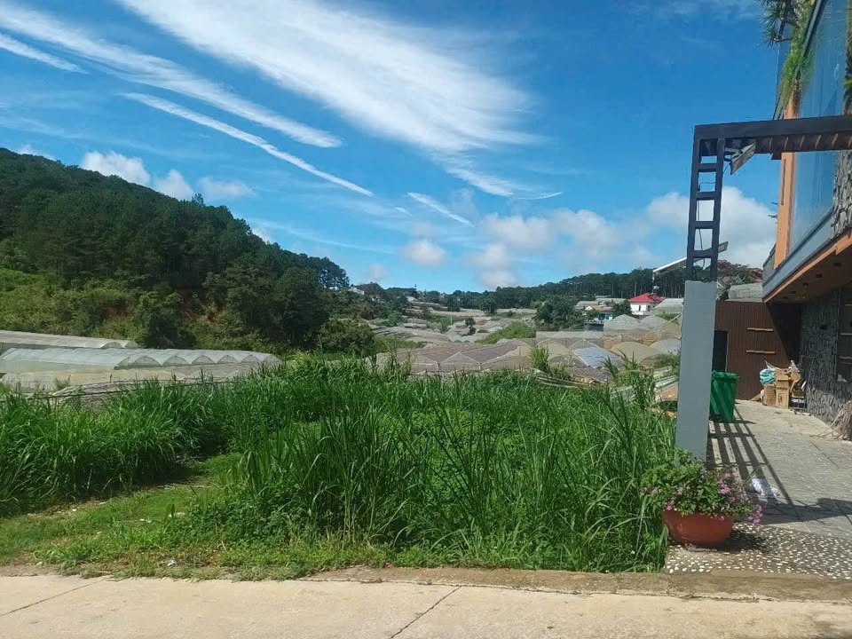 Đất biệt lập Vạn Thành Đà Lạt 221m² giá 7.8 tỷ - View thoáng mát hướng Đông Bắc!