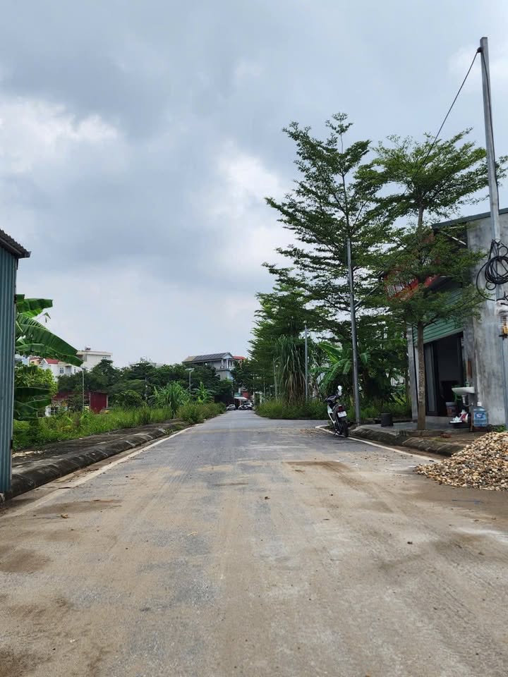 Đất nền Cây Sung 5 Đan Phượng 67.5m² giá 810 triệu - Vị trí kinh doanh thuận lợi!