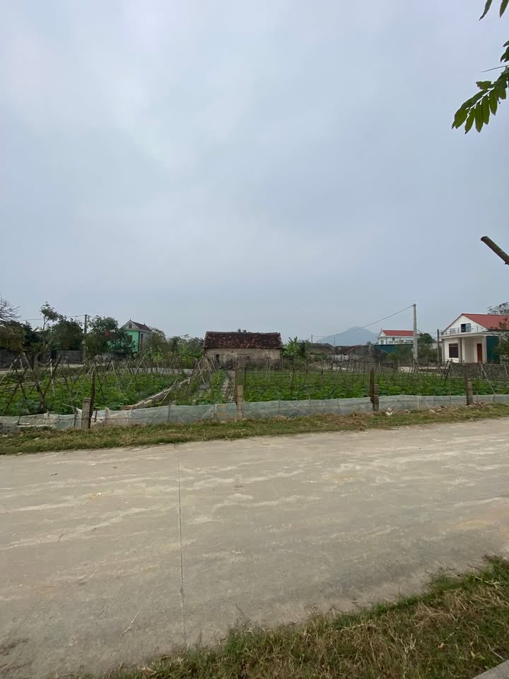 Đất thổ cư 120m² tại thôn Văn Tập, Diễn Châu, Nghệ An - Cơ hội đầu tư hấp dẫn chỉ 1 tỷ!