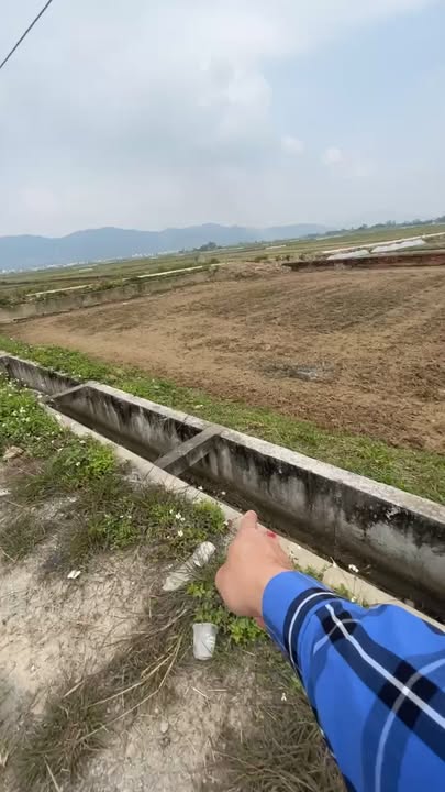 Đất đấu giá Xã Quỳnh Tam 1843m² giá 2 tỷ - Cơ hội đầu tư tuyệt vời!