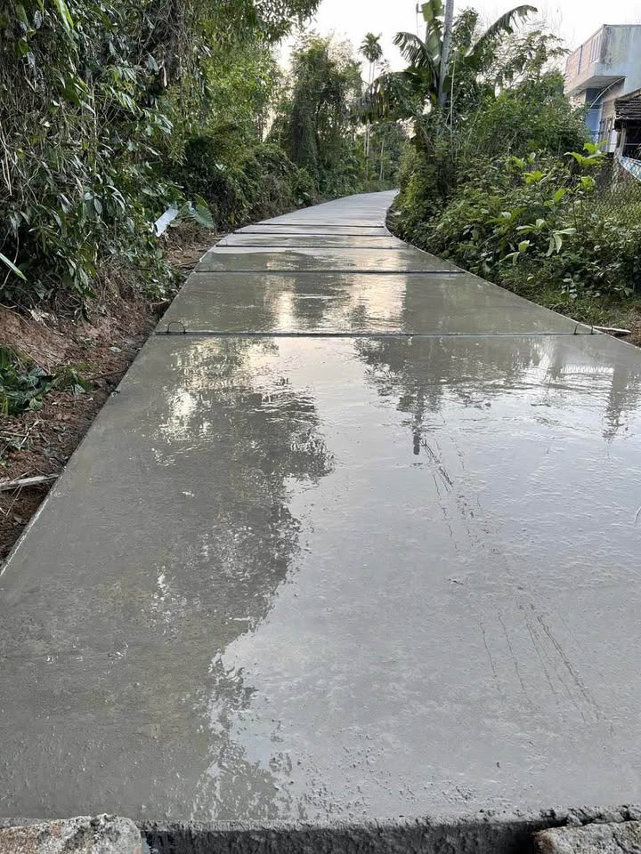 Lô Đất Vườn Tam Ngọc 500m² giá 1.1 tỷ - Đầu tư sinh lời lý tưởng!