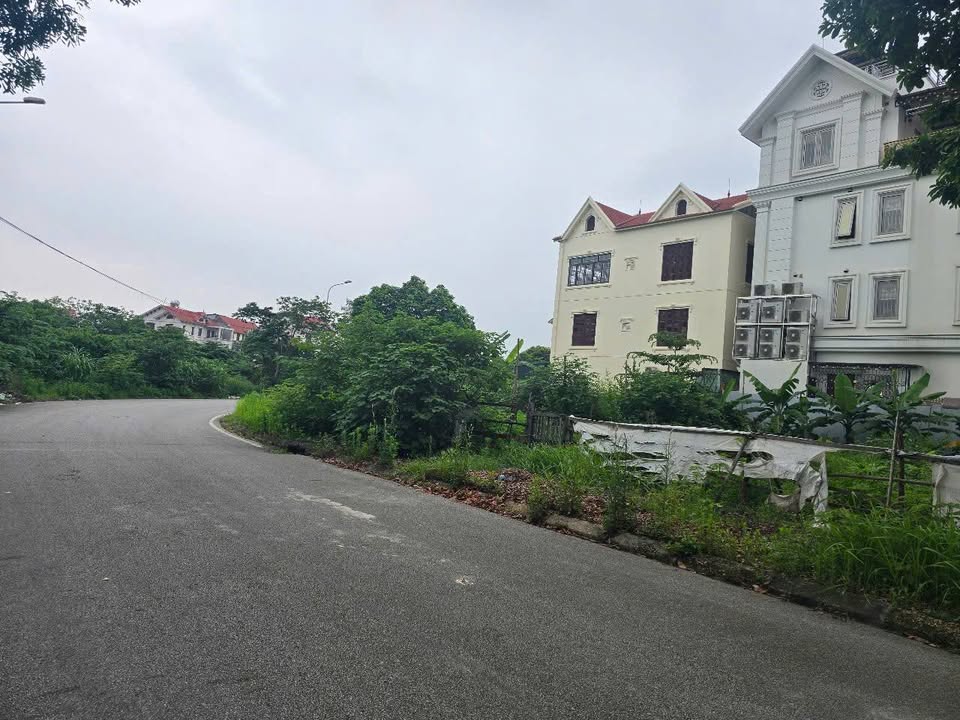 Đất nền KDT Đại Hoàng Long Bắc Ninh 270m² giá 18.9 tỷ - Hướng Đông, vị trí đẹp