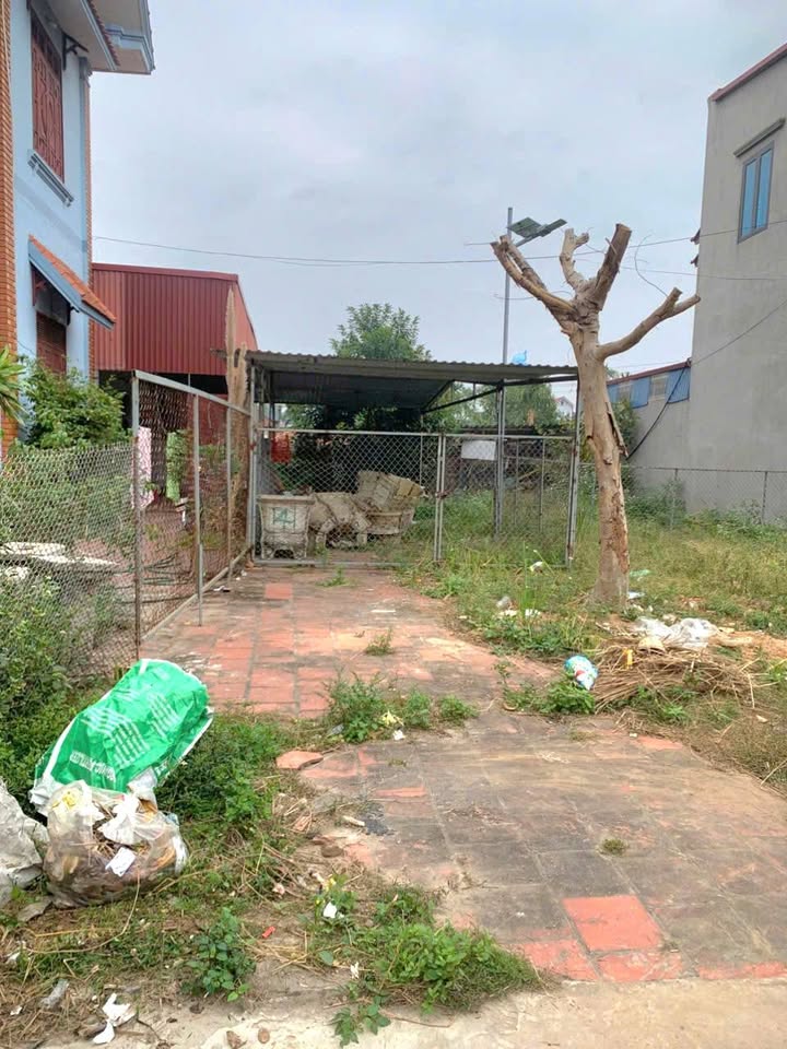 Đất nền TDP Đạo, phường Tân An, Bắc Ninh 94m² - Cơ hội đầu tư tiềm năng!