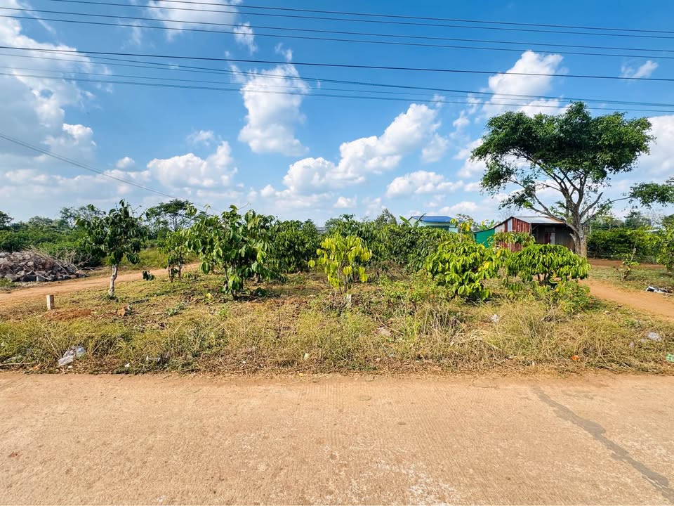 Đất nền Trương Định, 234m² giá 300 triệu - Cơ hội đầu tư hấp dẫn!