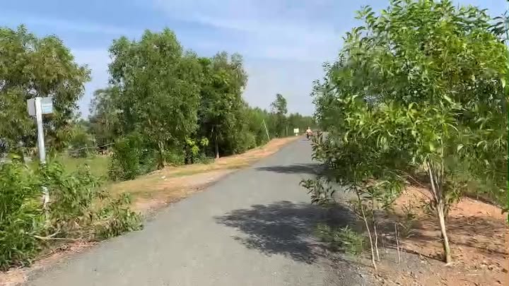 Đất nông nghiệp 100.000m² tại Tỉnh lộ 819, Tân Thành, Mộc Hóa - Cơ hội đầu tư sinh lời tuyệt vời!