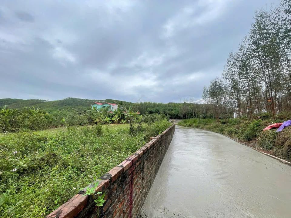 Đất nền Tiên Nha Lục Nam 164m² giá chỉ 4xx triệu - Đầu tư sinh lời ngay!