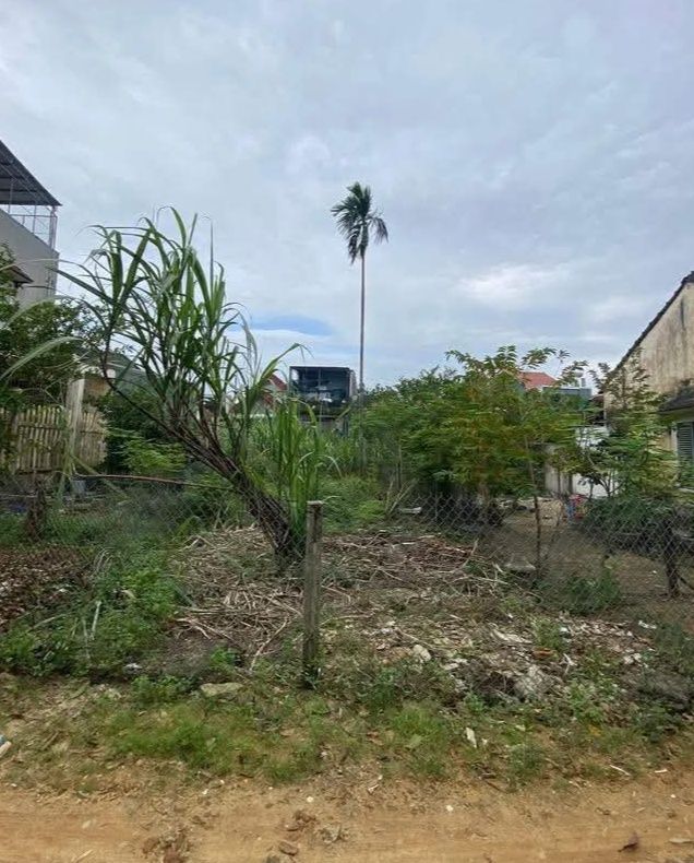 Đất hẻm 363 Nguyễn Trãi 95m² giá thương lượng - Cơ hội đầu tư hấp dẫn!