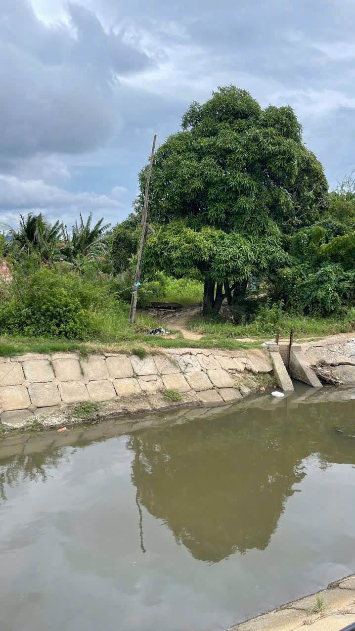 Lô Đất Nông Nghiệp 100m² Đường Hoa Lâm - Giá Chỉ 340 Triệu!