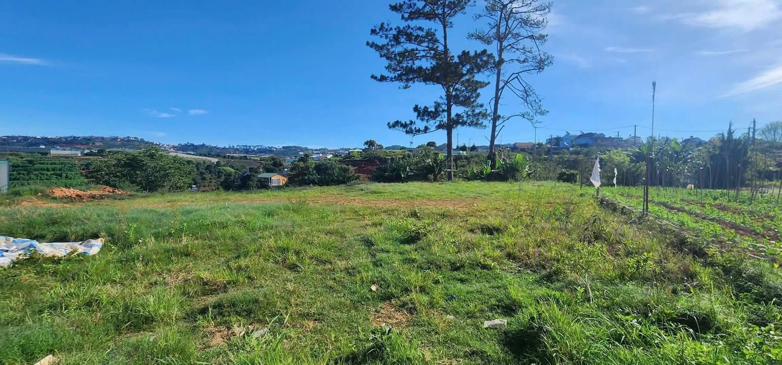 Đất nền Xã Xuân Thọ, Đà Lạt 105m² giá 750 triệu - Cơ hội đầu tư hấp dẫn!