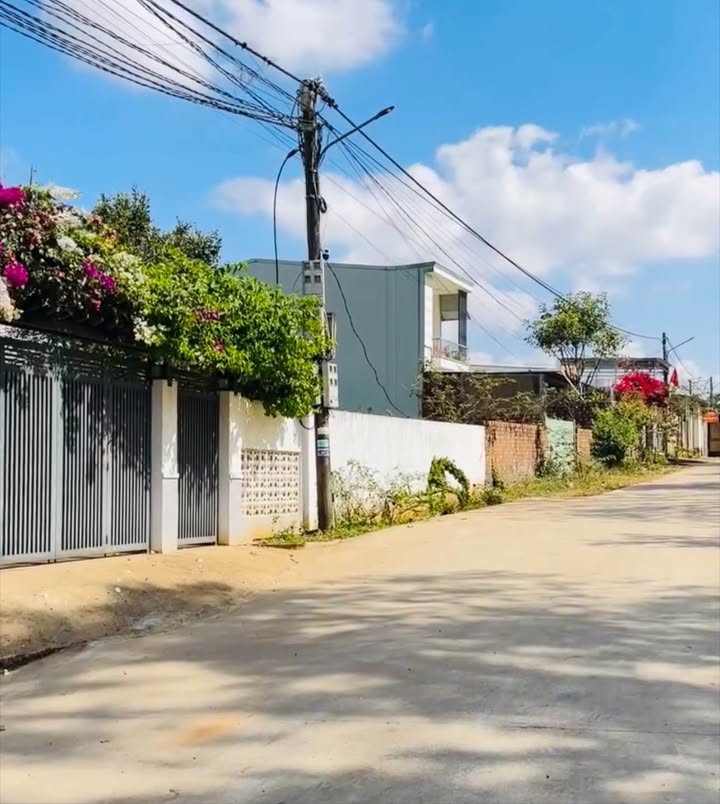 Đất chính chủ hẻm Bùi Đình Tuý, Pleiku 99m² giá 1.2 tỷ - Cơ hội đầu tư tuyệt vời!