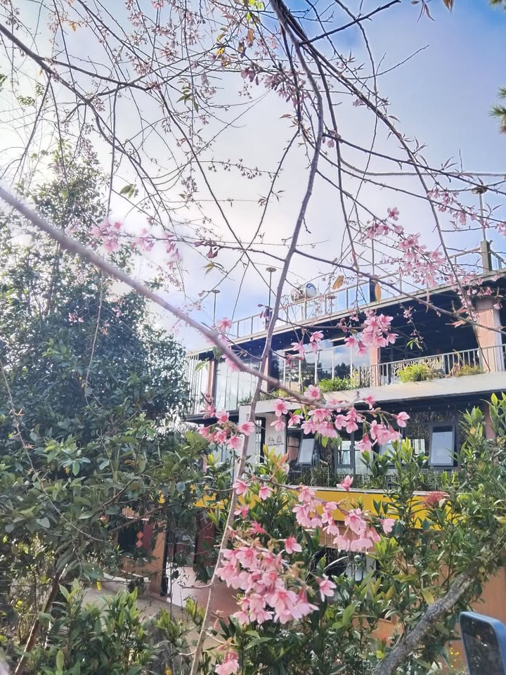 Đất thổ cư Hội Phú 85m² giá 7xx triệu - Đầu tư thông minh cho tương lai!