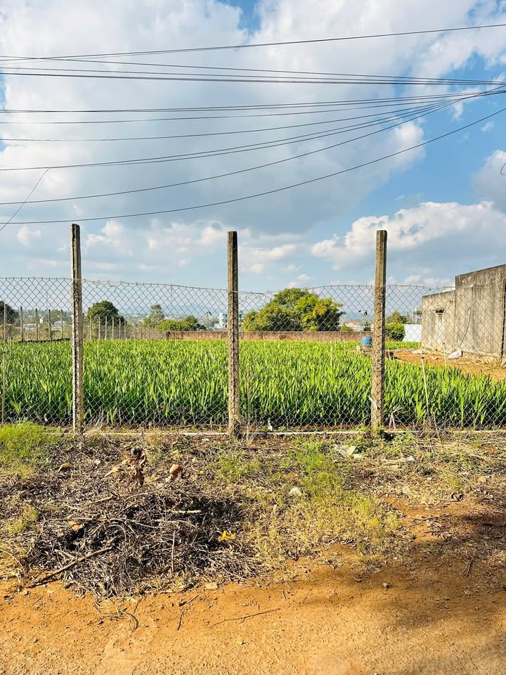 Đất hẻm 41 Lý Thường Kiệt, An Khê 368m² - Đất ở chính chủ, giá tốt!