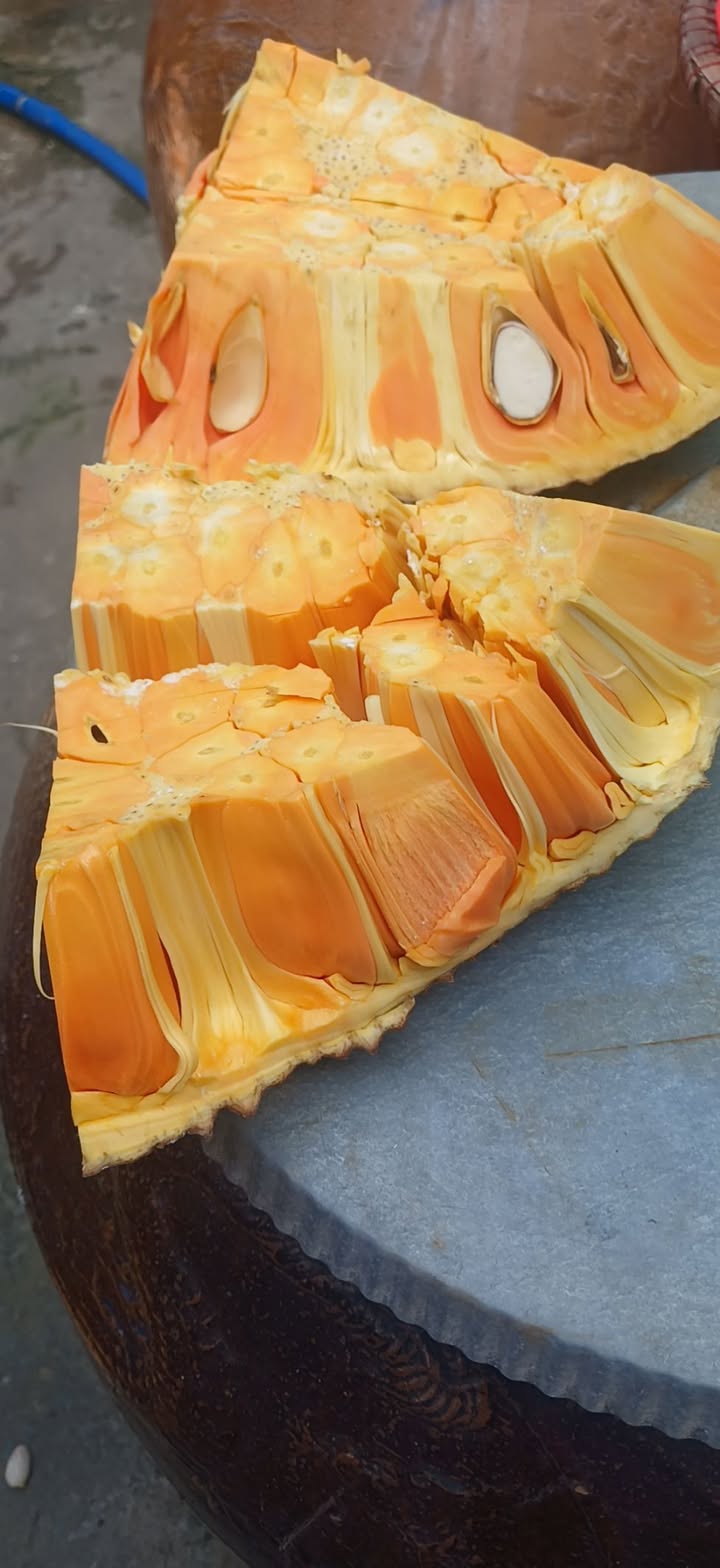 Đất thổ cư 3000m² tại ấp Bầu Dài, Châu Thành, Long An - Giá chỉ 1.5 tỷ!