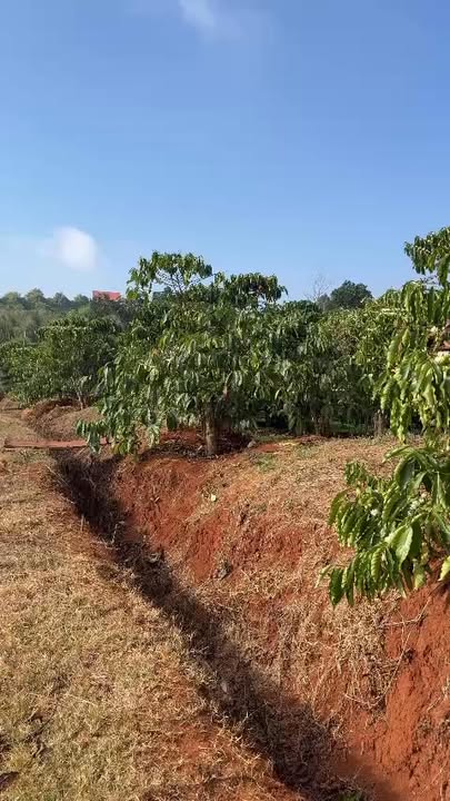 Đất nền Phúc Tân, Tân Hà 21600m² giá 3.1 tỷ - Diện tích rộng rãi, pháp lý rõ ràng!