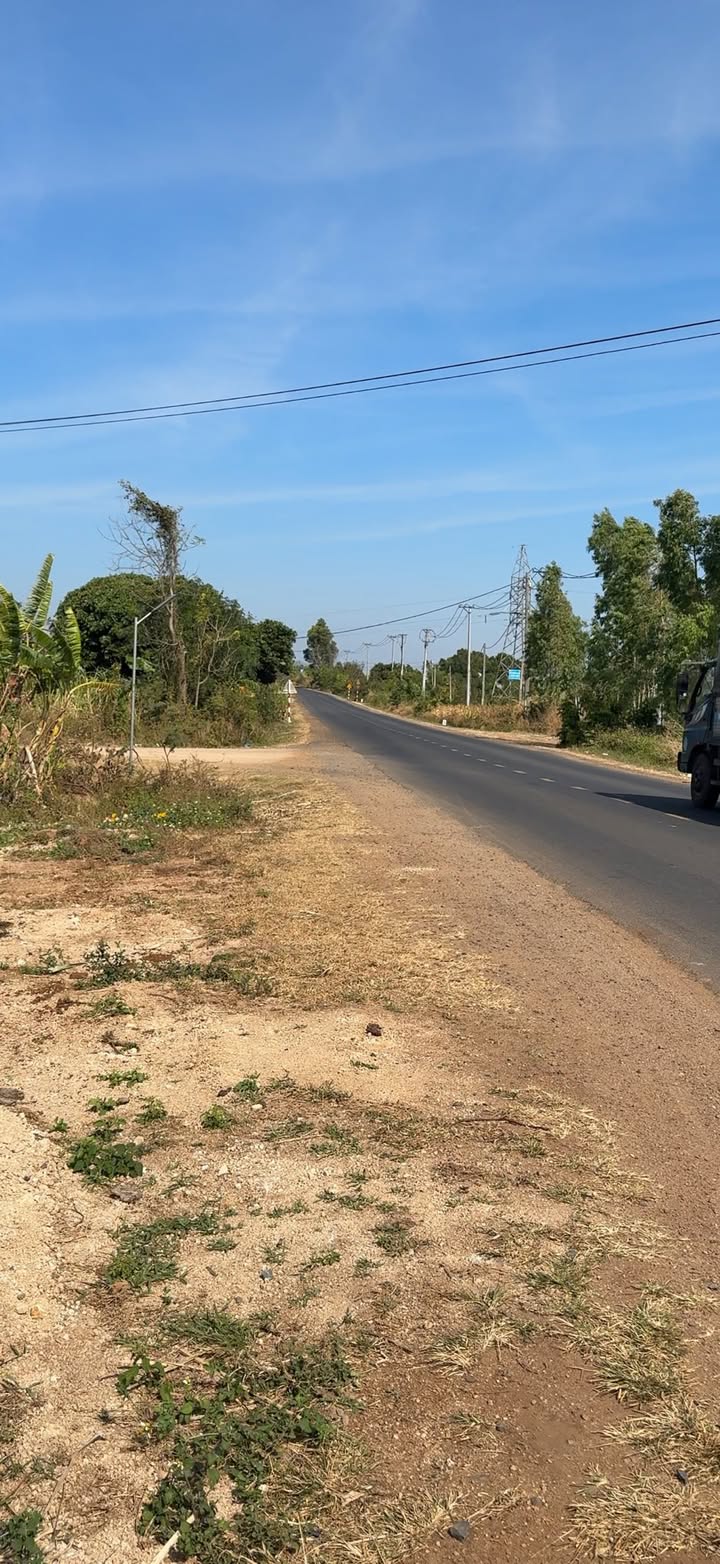 Lô đất 3,2 ha tại Thôn Ia So, Gia Lai - Đầu tư sinh lời với giá 6 tỷ!