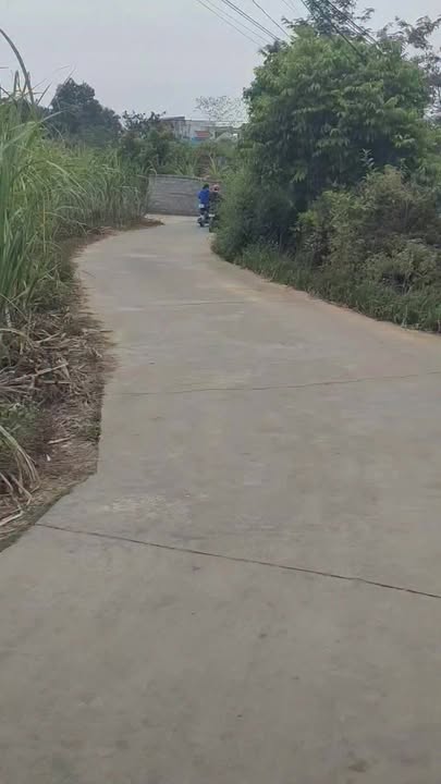 Đất vườn 2700m² tại Phường Phượng Sơn, Bắc Giang - Giá chỉ 2 tỷ!