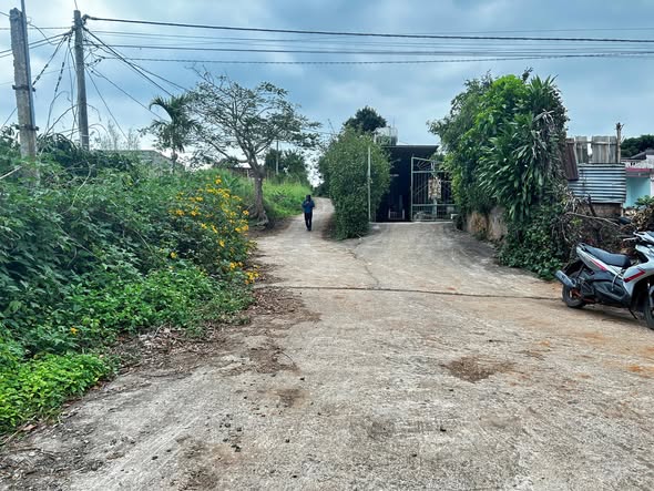 Đất thổ cư 1.600m² tại Huyện Krông Bông giá chỉ 1.35 tỷ - Cơ hội đầu tư hấp dẫn!