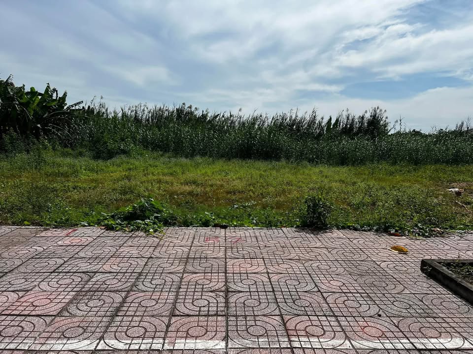 Đất thổ cư 80m² mặt tiền đường Võ Văn Kiệt - Giá 1.45 tỷ, thuận tiện kinh doanh!