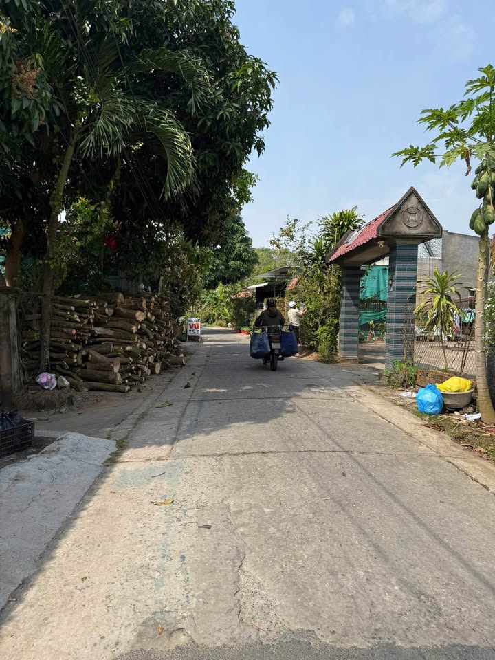 Nhà cấp 4 đường Cái Sao, phường Mỹ Ngãi, 260m² giá 2.3 tỷ - Khu vực yên tĩnh, gần chợ Bình Trị!