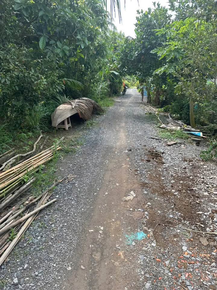 Đất nền Long Thắng, Lai Vung 278m² giá 480 triệu - Vị trí vàng gần chợ