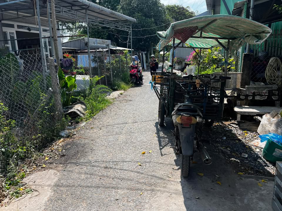 Đất nền Thị trấn Thanh Bình 217m² giá 800 triệu - Đầu tư sinh lời ngay!