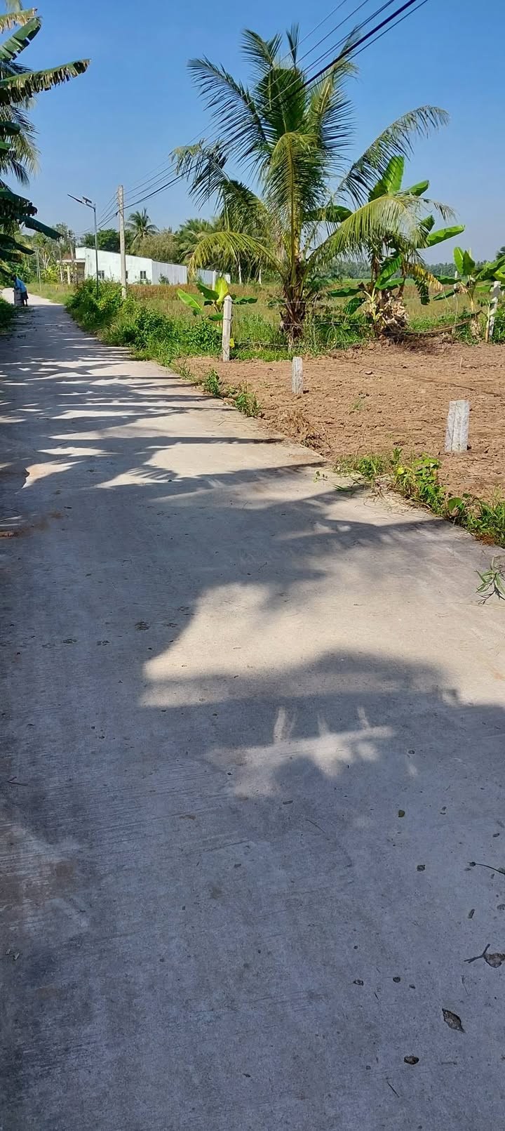 Đất nền Long Phú 270m² giá 210 triệu - Nền cao ráo, ô tô tới nơi!