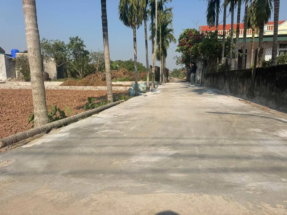 Đất nền liền kề xã Nga Tiến, Thanh Hóa 124m² giá chỉ 300 triệu - Cơ hội đầu tư hấp dẫn!