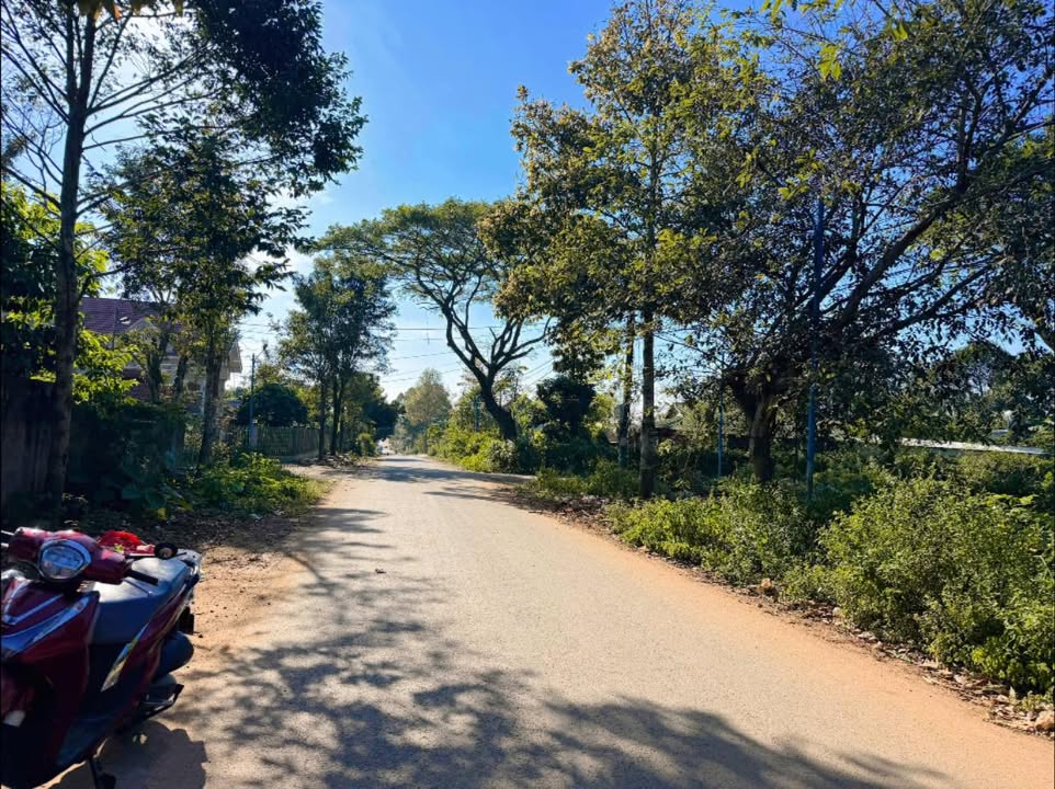 Đất thổ cư 150m² sau chợ 52 Ea Kar - Giá chỉ 1 tỷ!